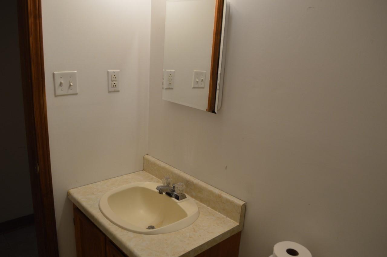173 Cartmills Gap Road Buchanan, VA 24066 - Photo 9 of 25 full bath02