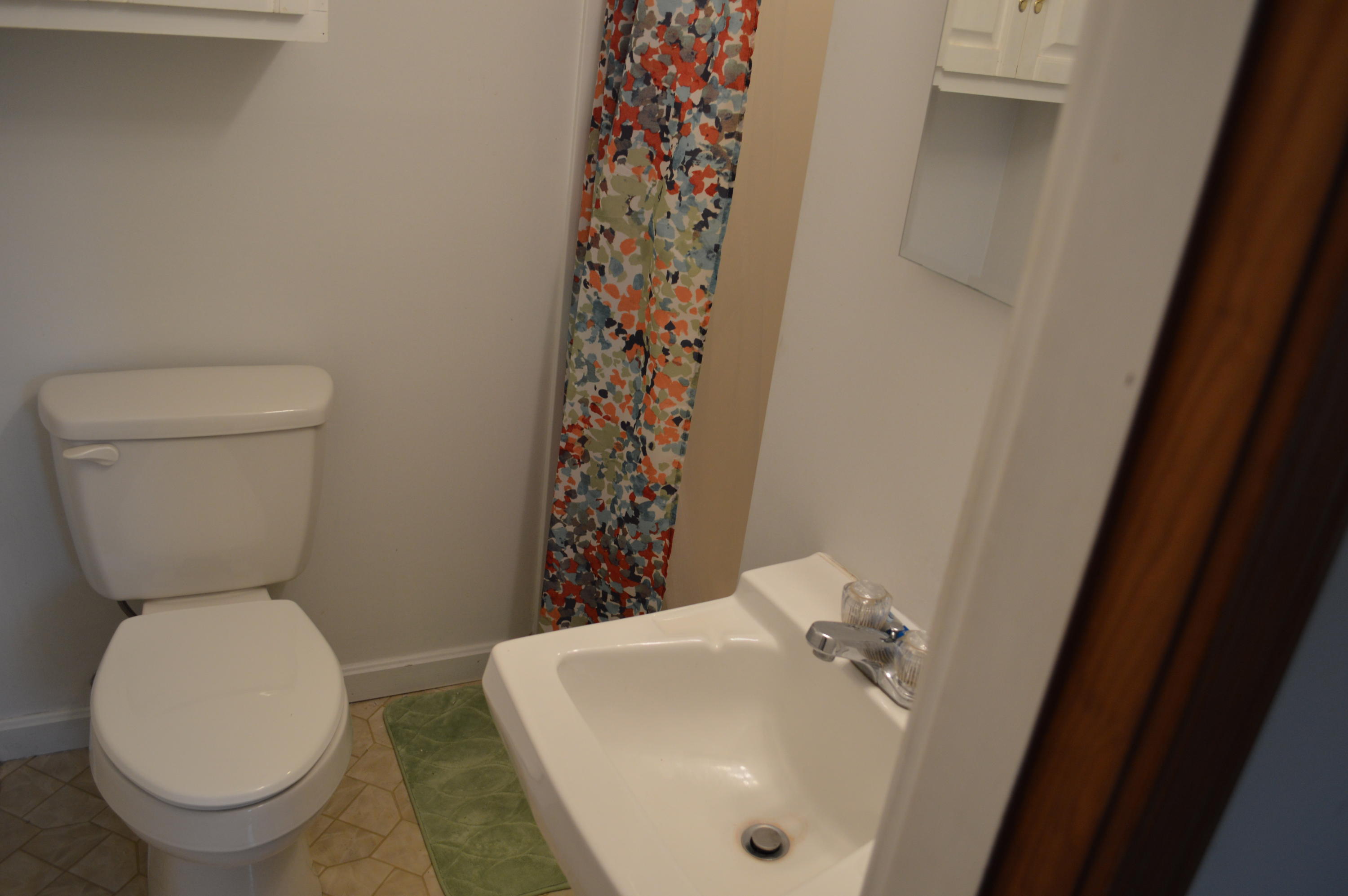 173 Cartmills Gap Road Buchanan, VA 24066 - Photo 10 of 25 master bath