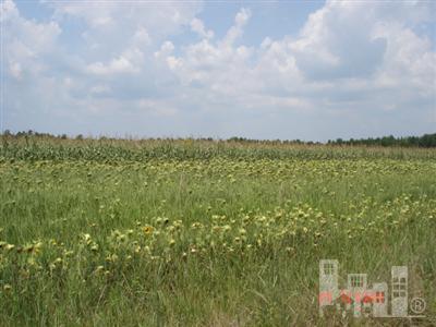 1111 Rooks Road Atkinson, NC 28421 - Photo 2 of 2 Additional Photo