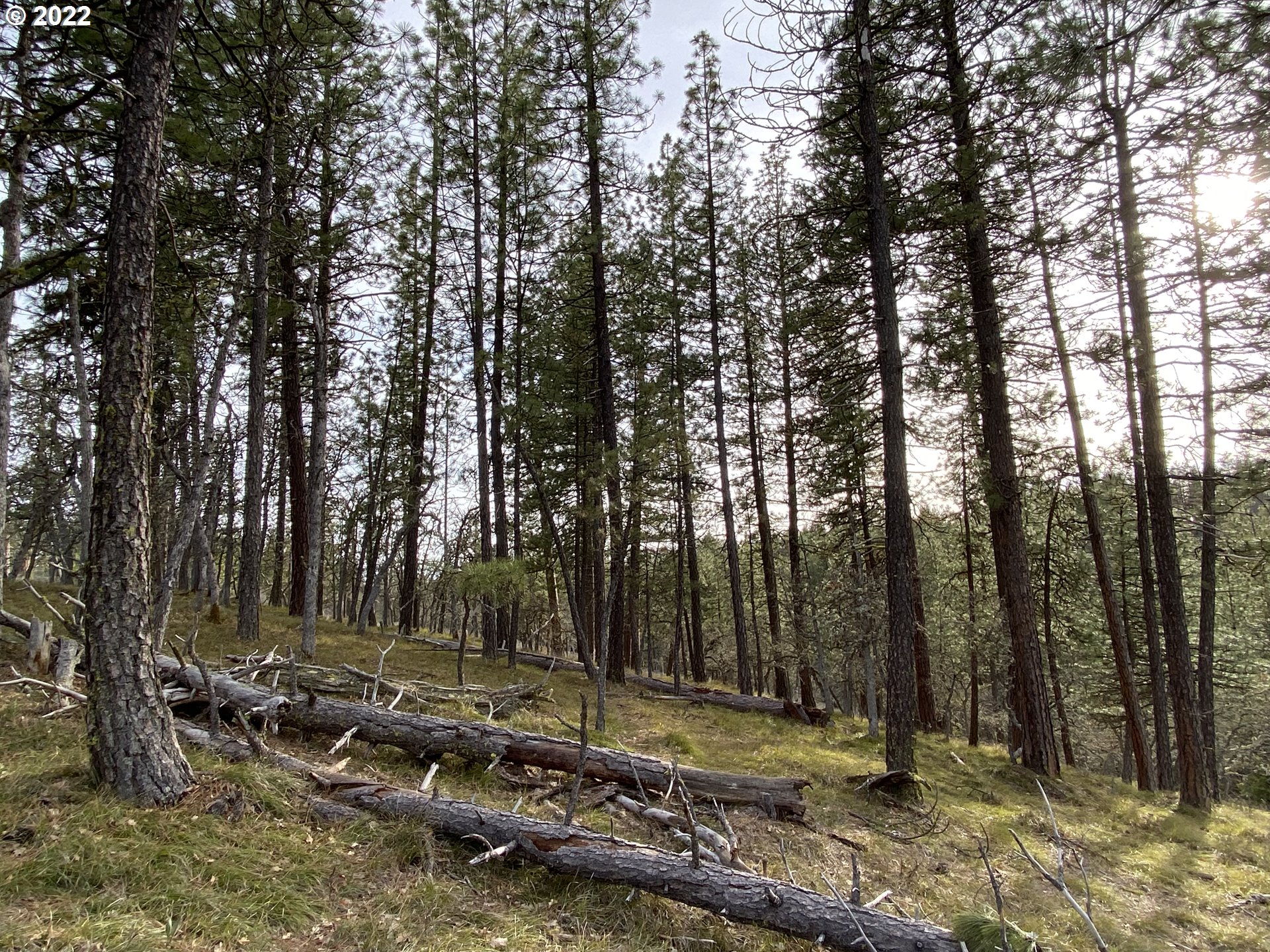 Brock Ranch Goldendale, WA 98620 - Photo 11 of 16 Gallery Image 11