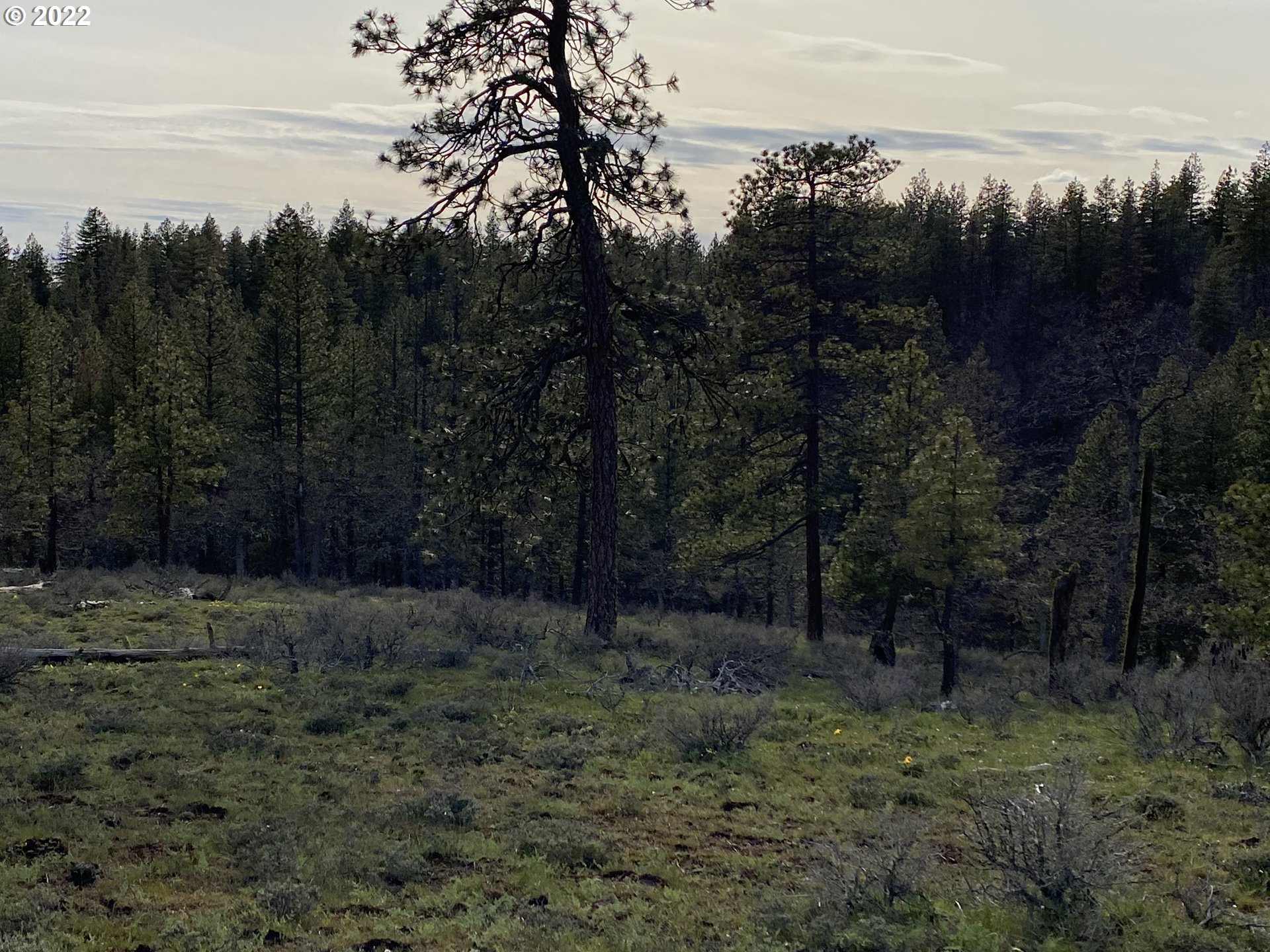 Brock Ranch Goldendale, WA 98620 - Photo 12 of 16 Gallery Image 12