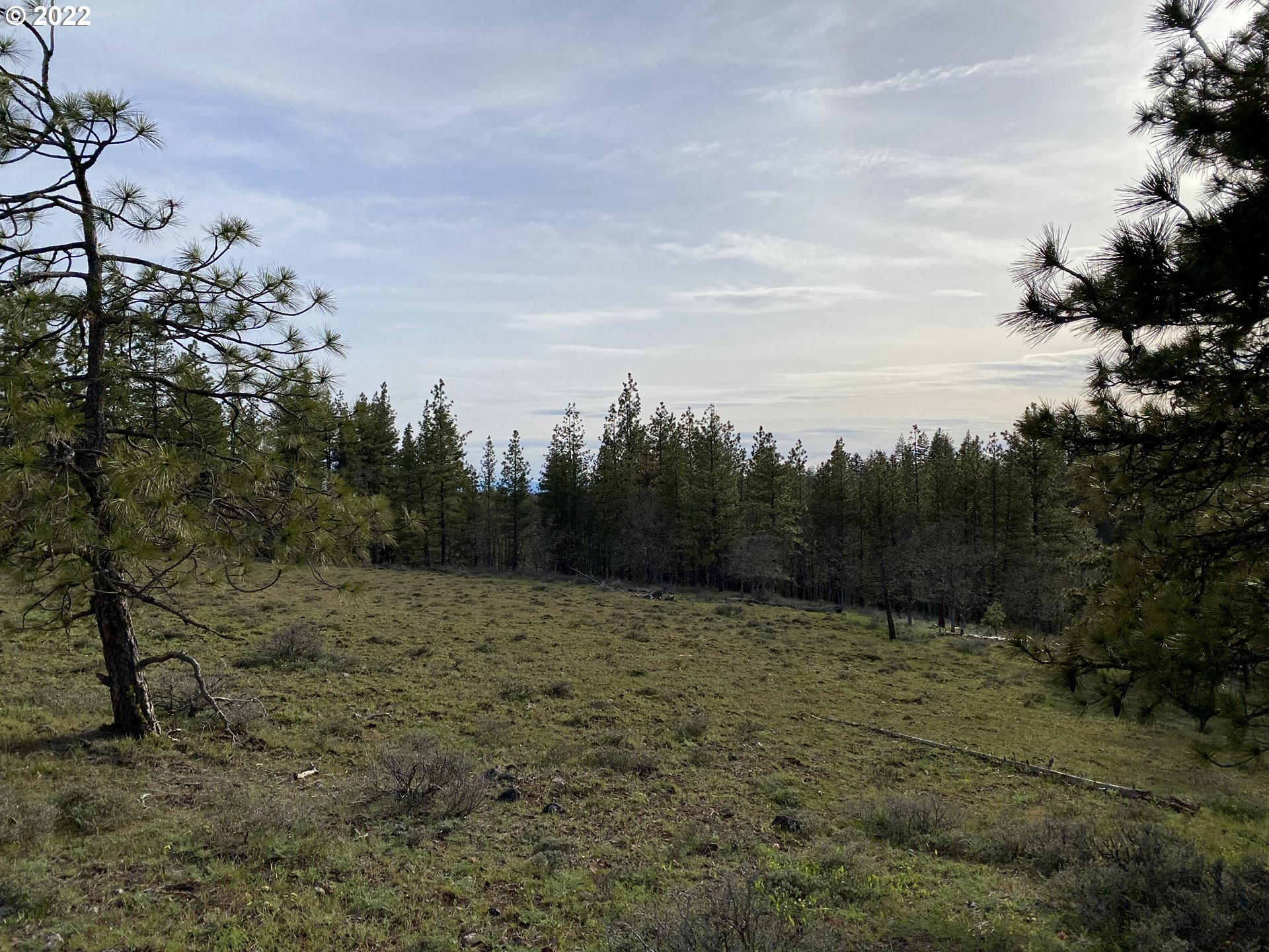 Brock Ranch Goldendale, WA 98620 - Photo 13 of 16 Gallery Image 13