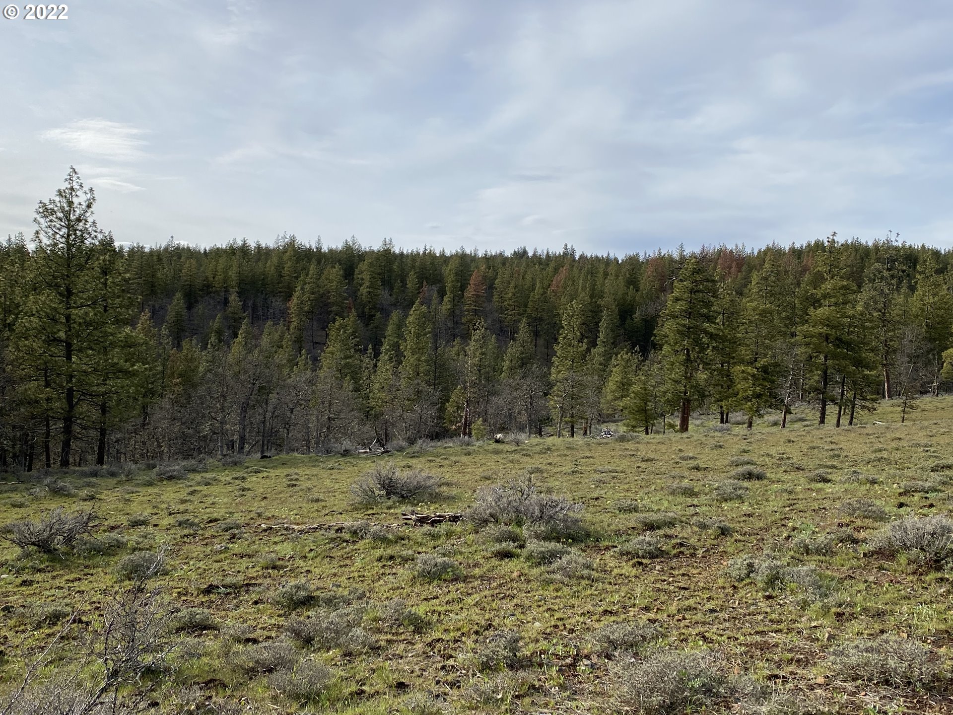 Brock Ranch Goldendale, WA 98620 - Photo 15 of 16 Gallery Image 15