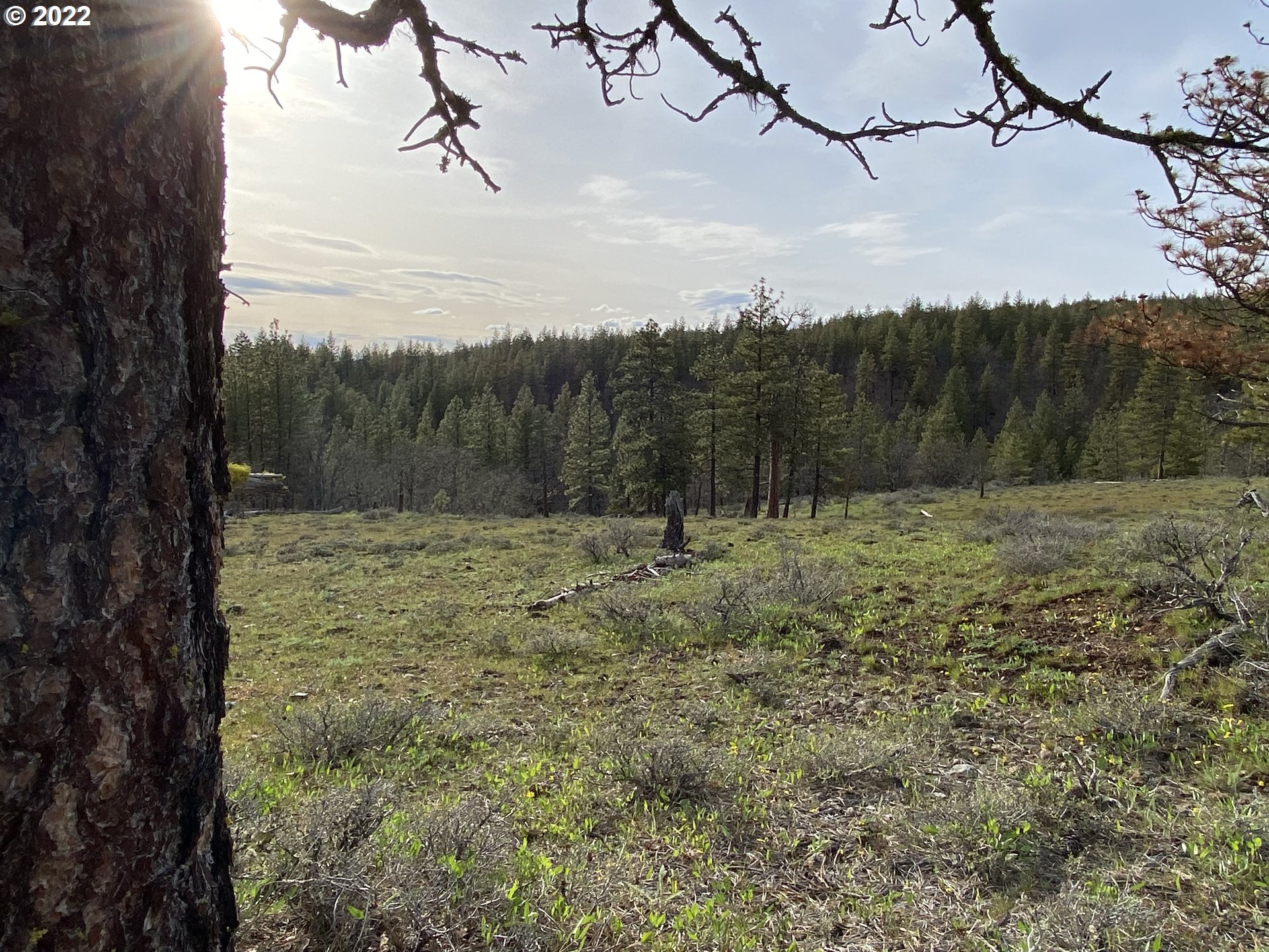 Brock Ranch Goldendale, WA 98620 - Photo 3 of 16 Gallery Image 3