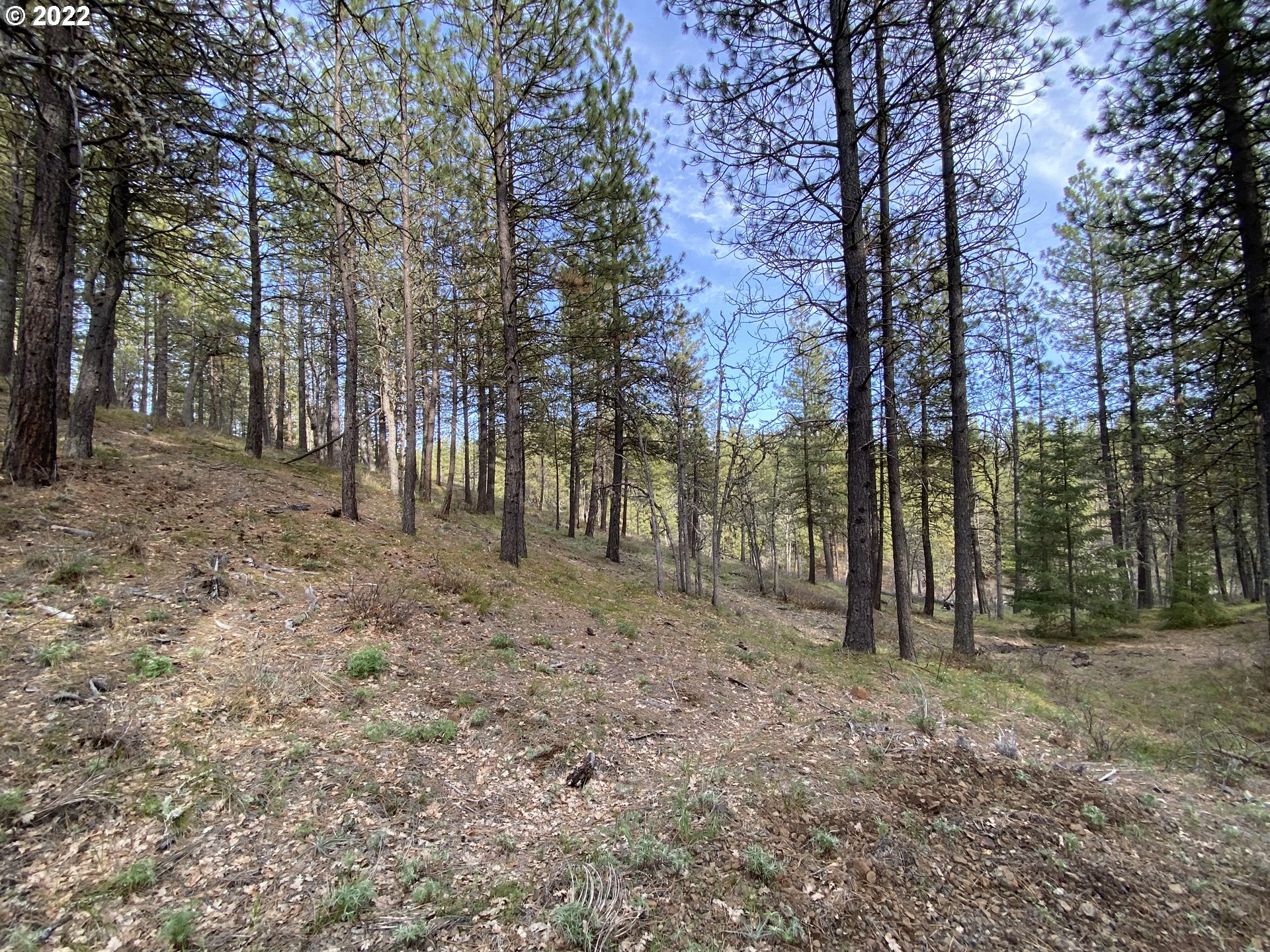 Brock Ranch Goldendale, WA 98620 - Photo 4 of 16 Gallery Image 4
