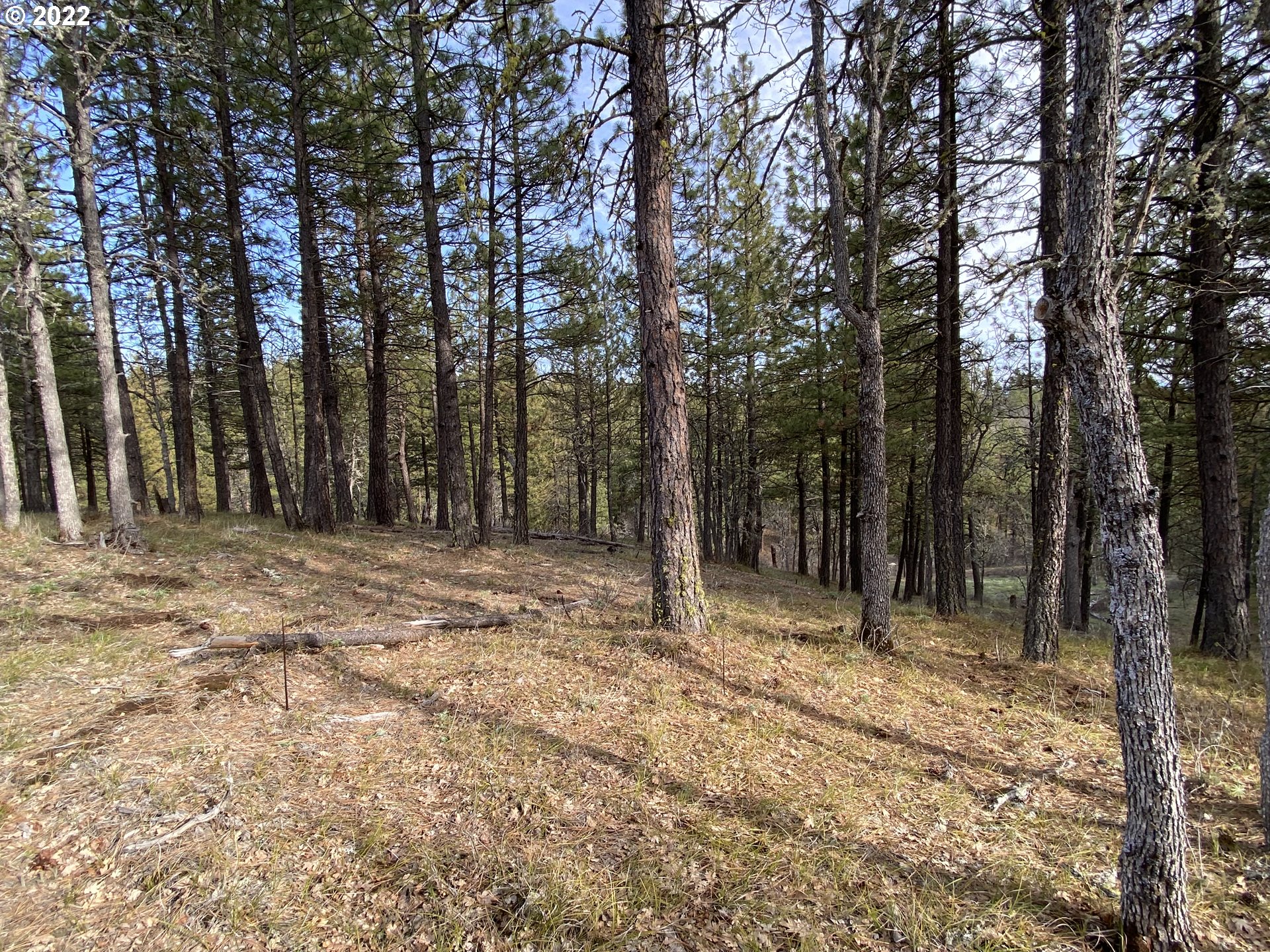 Brock Ranch Goldendale, WA 98620 - Photo 5 of 16 Gallery Image 5