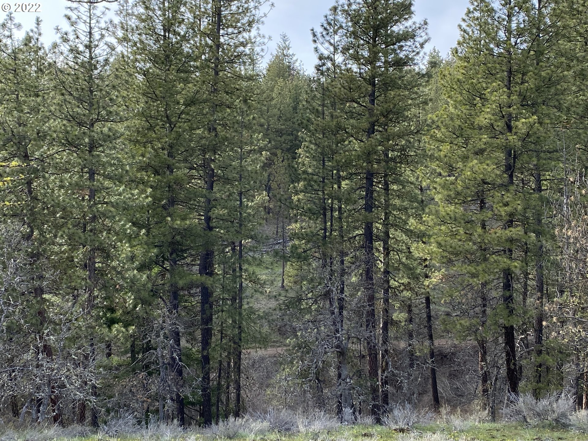 Brock Ranch Goldendale, WA 98620 - Photo 10 of 16 Gallery Image 10