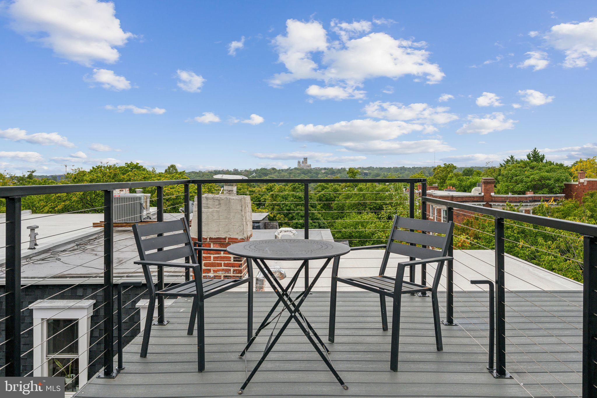 1614 Kilbourne Place Northwest, Unit 1 Washington, DC 20010 - Photo 30 of 35 Shared Roof Terrace