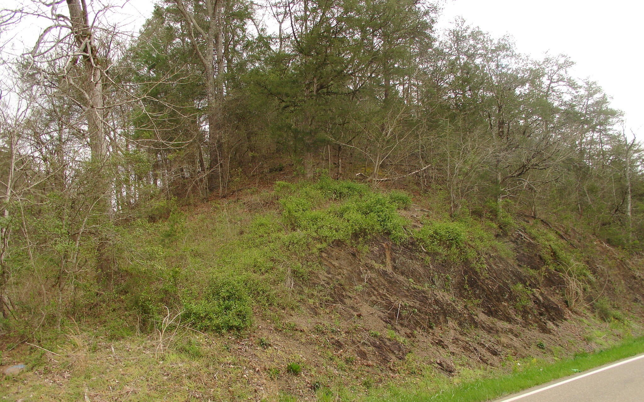 1 Jones Cove Road Sevierville, TN 37876 - Photo 4 of 12