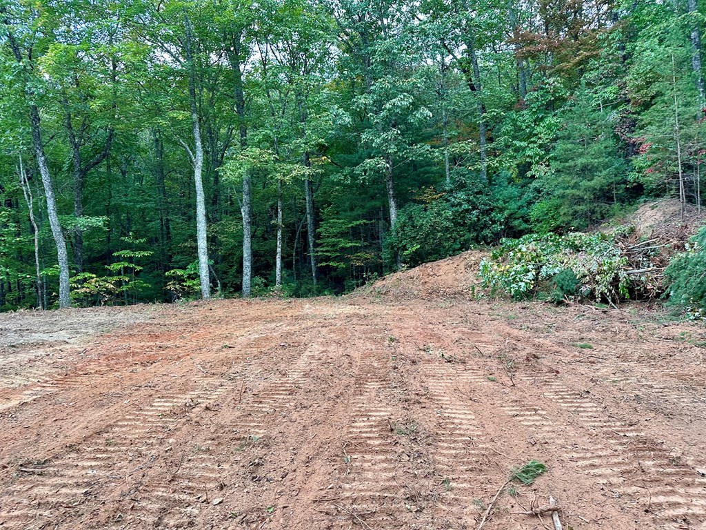 3.69-ac Atoah Loop Murphy, NC 28906 - Photo 6 of 28 Gallery Image 6