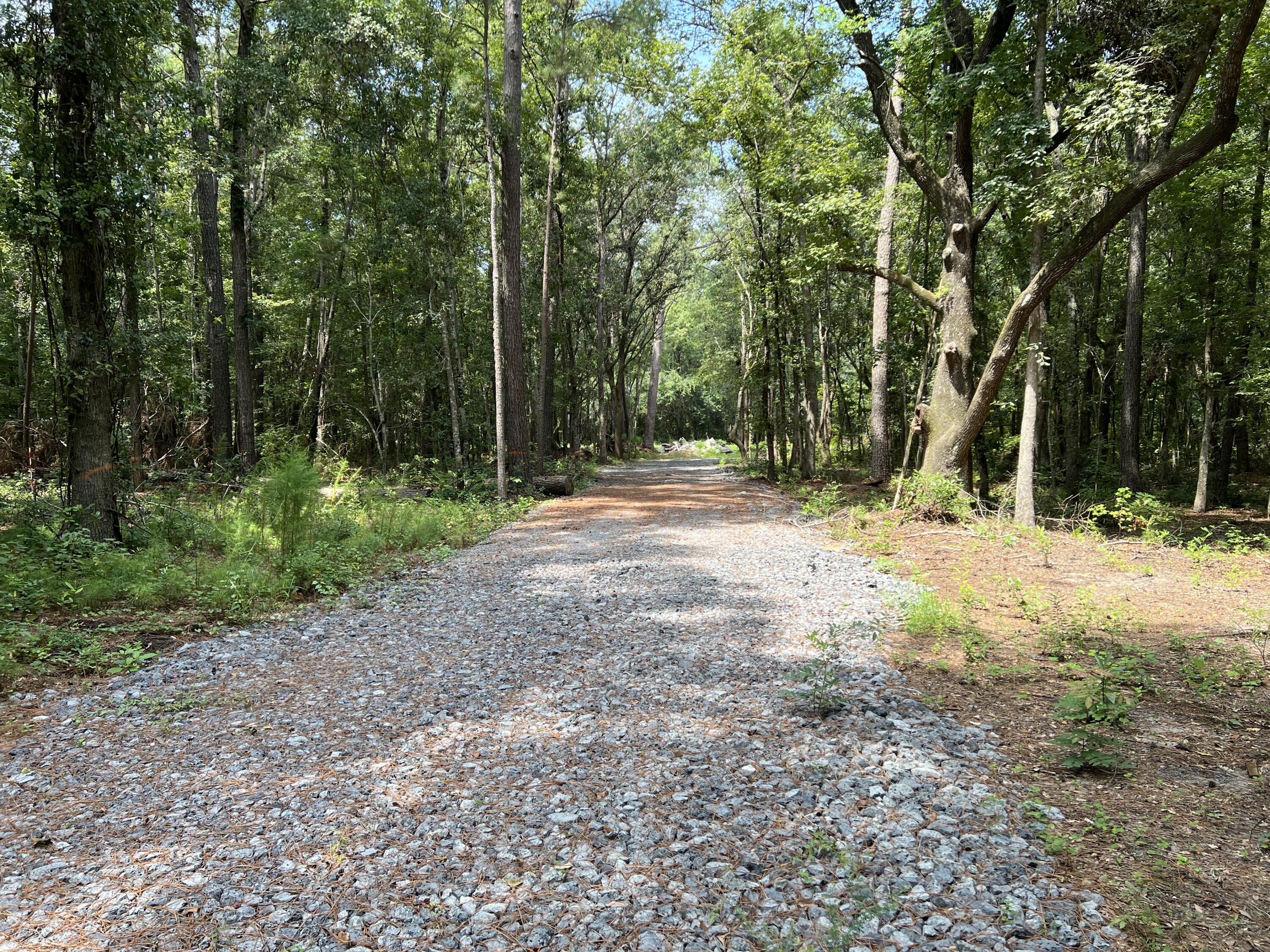 0 Mercantile Road McClellanville, SC 29458 - Photo 22 of 25 IMG_6395