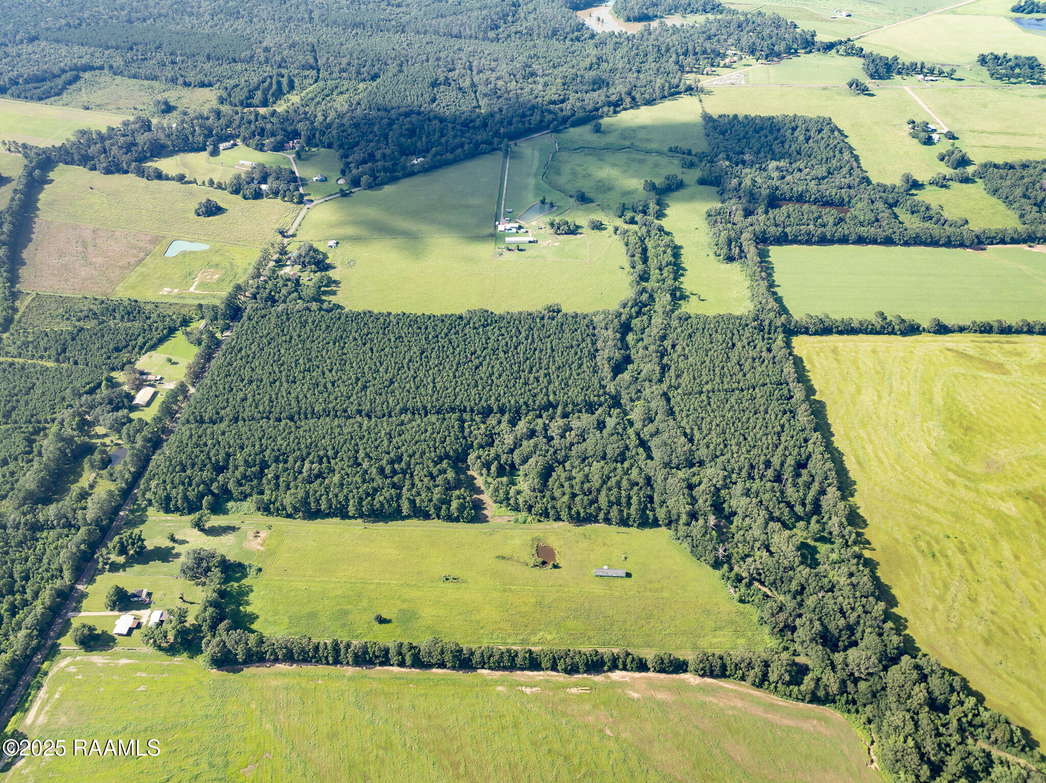 Tbd Jolene Road Basile, LA 70515 - Photo 13 of 28 DJI_0333