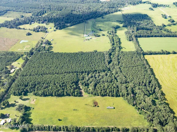 $55,000 | Tbd Jolene Road, Basile, LA 70515