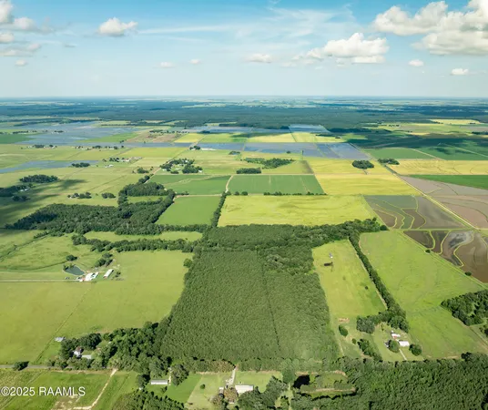 $55,000 | Tbd Jolene Road, Basile, LA 70515