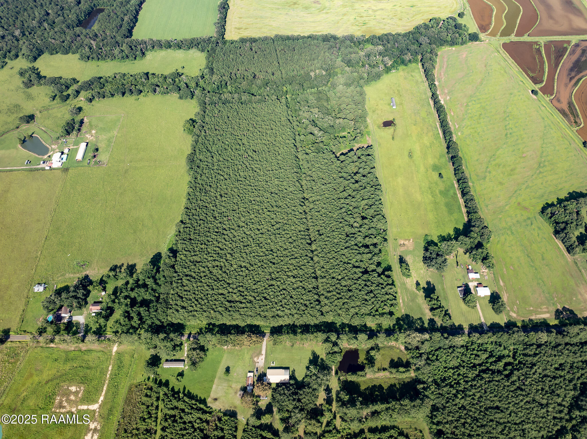 Tbd Jolene Road Basile, LA 70515 - Photo 16 of 28 DJI_0336