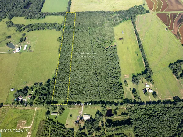 $55,000 | Tbd Jolene Road, Basile, LA 70515
