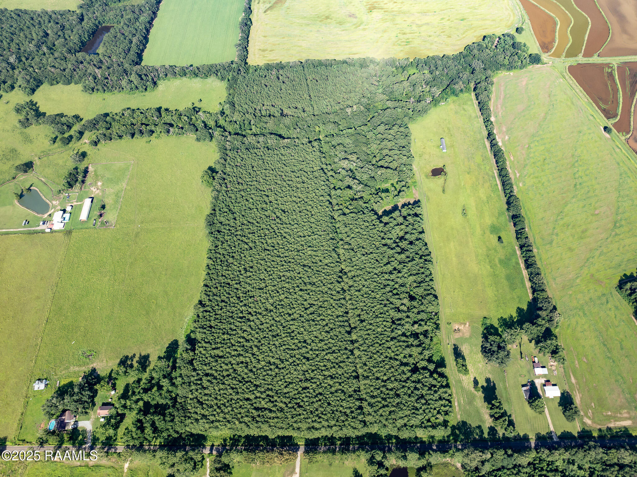 Tbd Jolene Road Basile, LA 70515 - Photo 21 of 28 DJI_0337