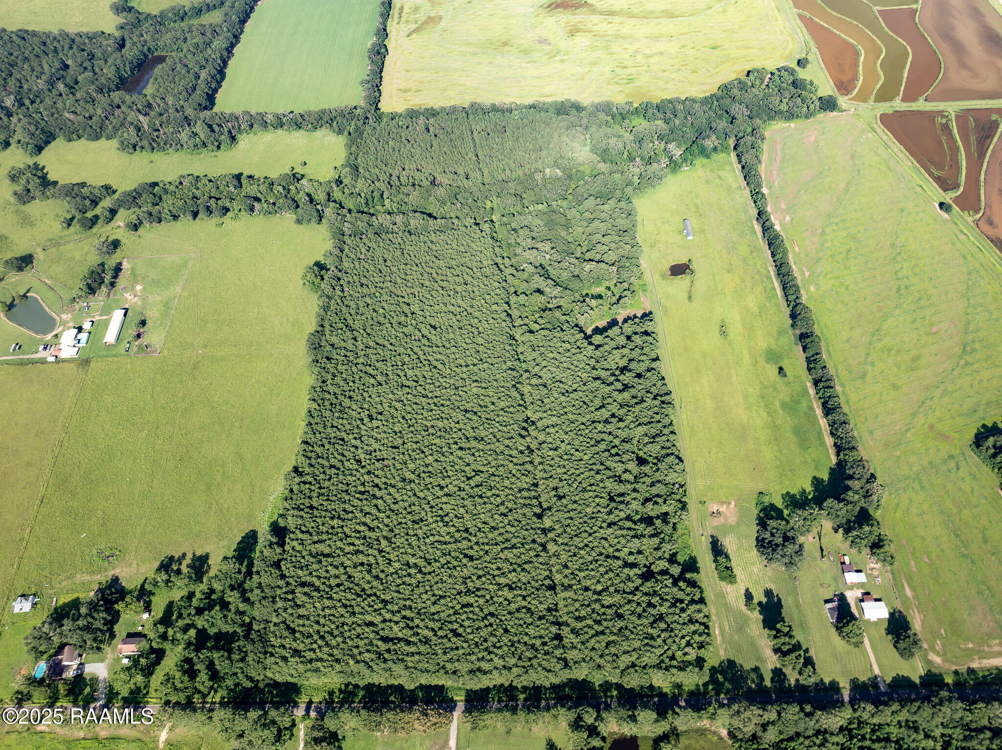 Tbd Jolene Road Basile, LA 70515 - Photo 22 of 28 DJI_0338