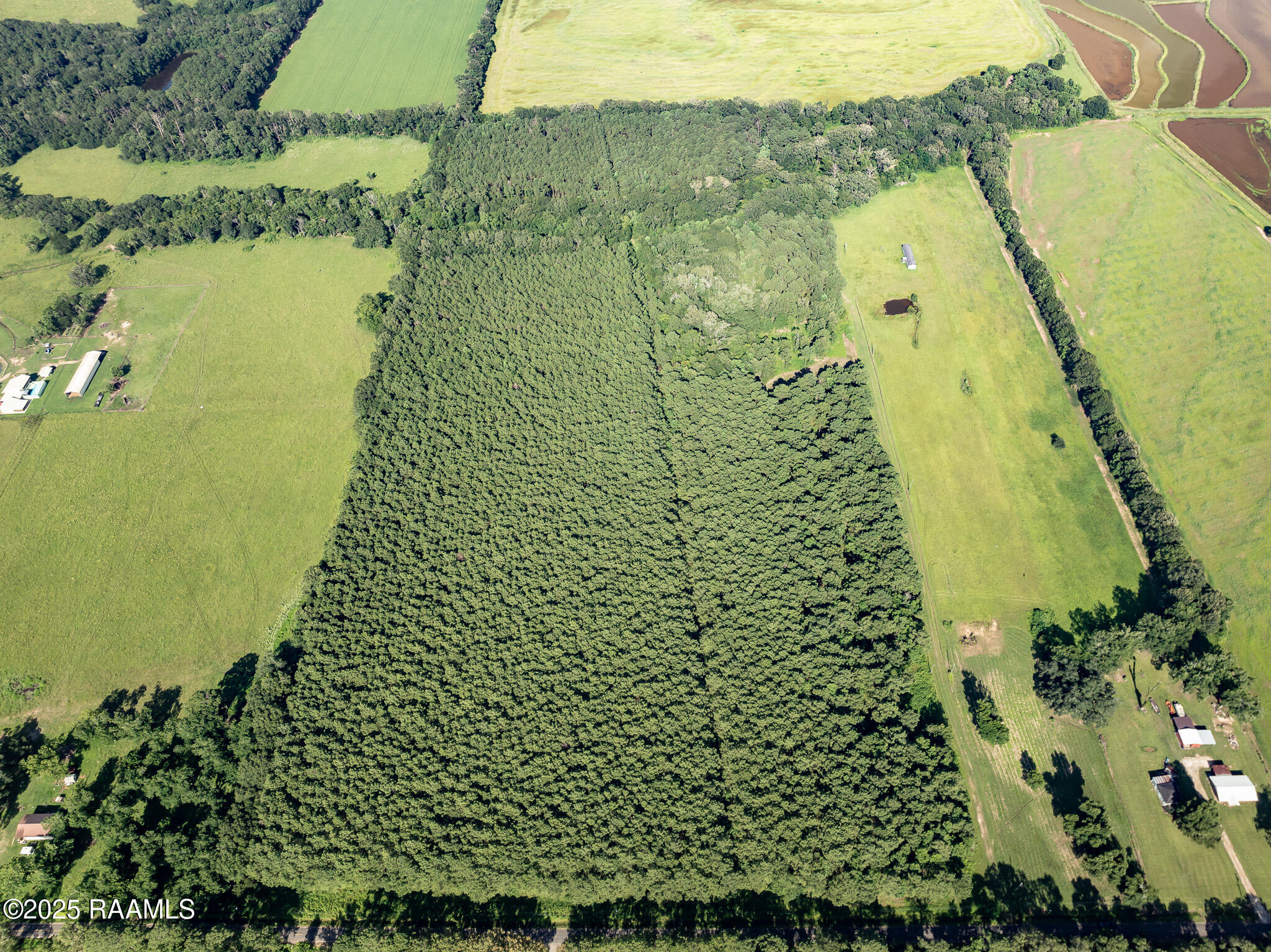 Tbd Jolene Road Basile, LA 70515 - Photo 23 of 28 DJI_0339