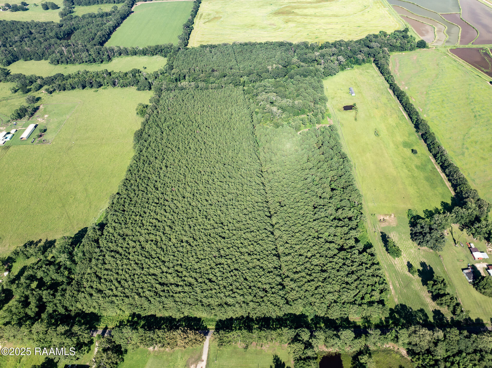 Tbd Jolene Road Basile, LA 70515 - Photo 24 of 28 DJI_0340