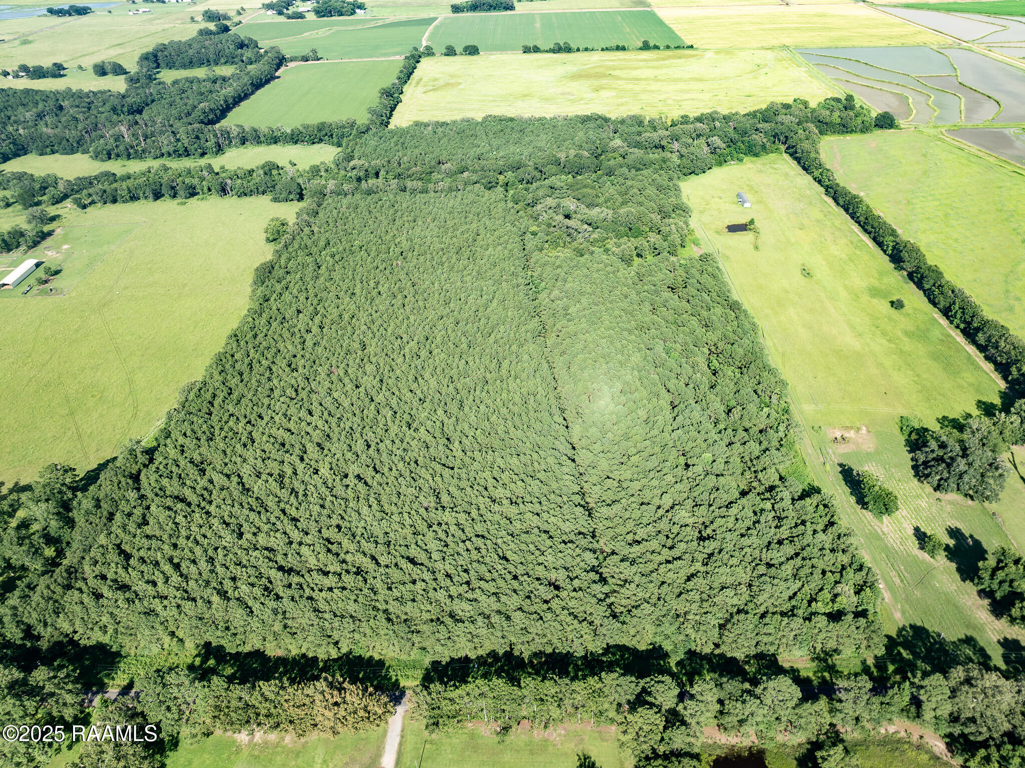 Tbd Jolene Road Basile, LA 70515 - Photo 25 of 28 DJI_0341