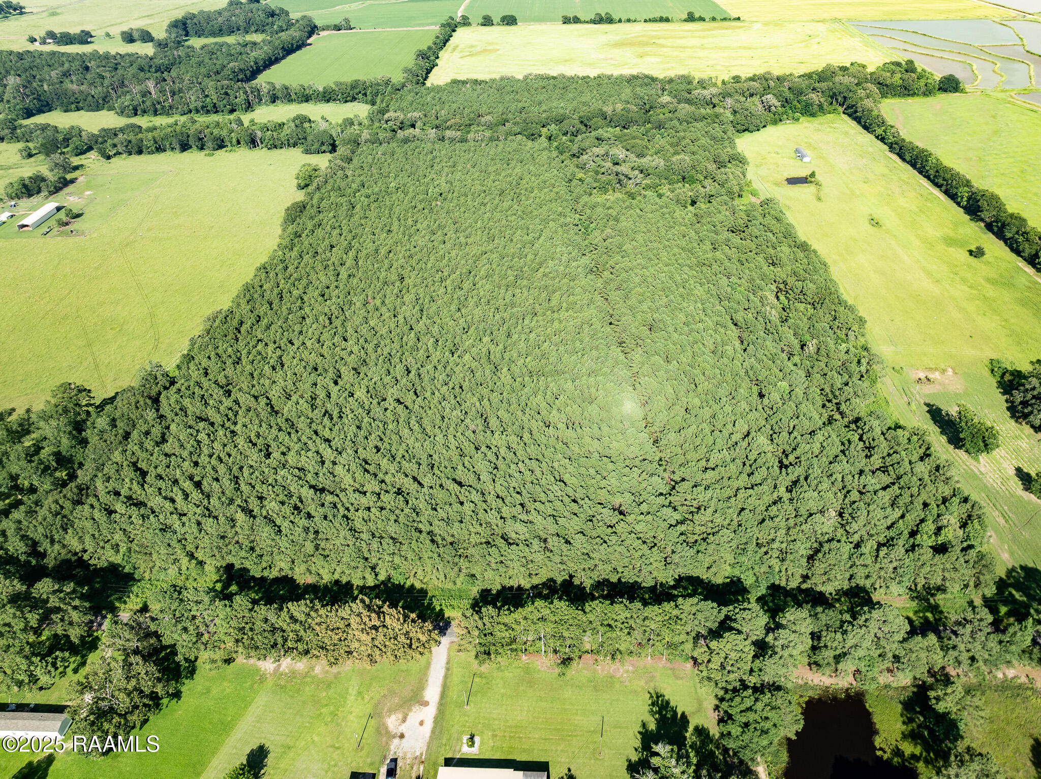 Tbd Jolene Road Basile, LA 70515 - Photo 26 of 28 DJI_0342