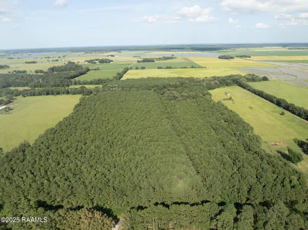 $55,000 | Tbd Jolene Road, Basile, LA 70515