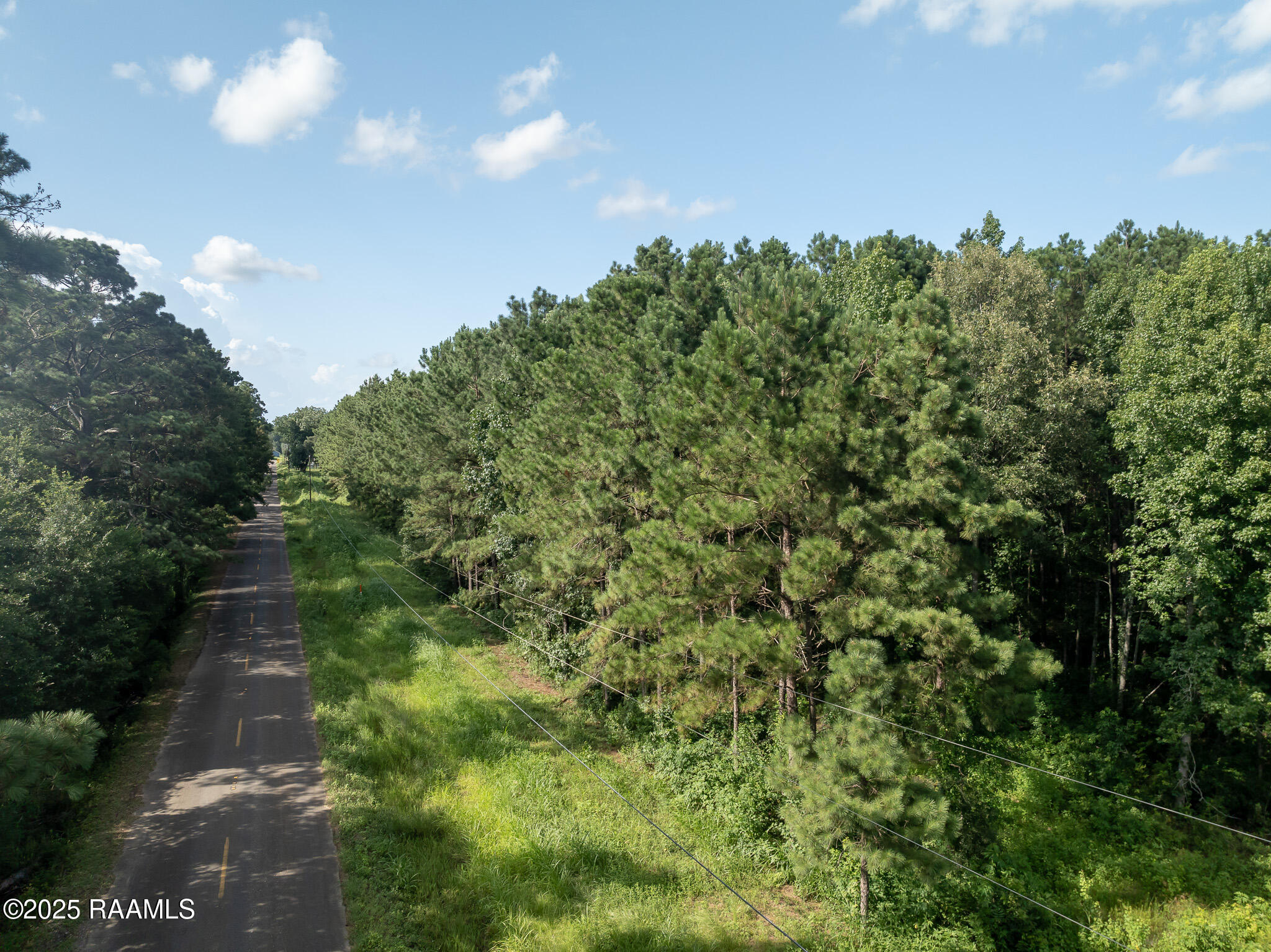 Tbd Jolene Road Basile, LA 70515 - Photo 3 of 28 DJI_0321