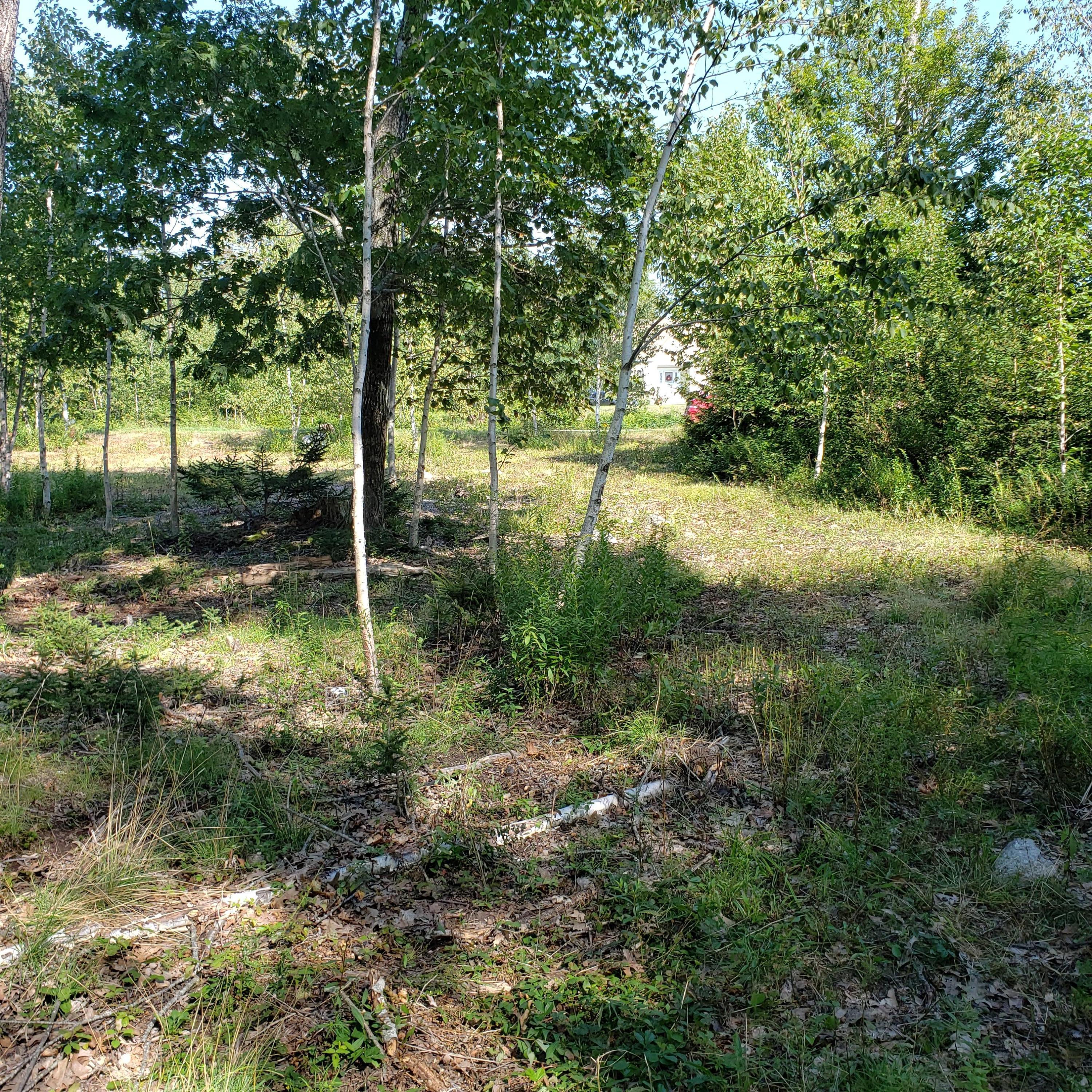 53 Cushing Farm Road New Harbor, ME 04554 - Photo 10 of 17 20190826_152418