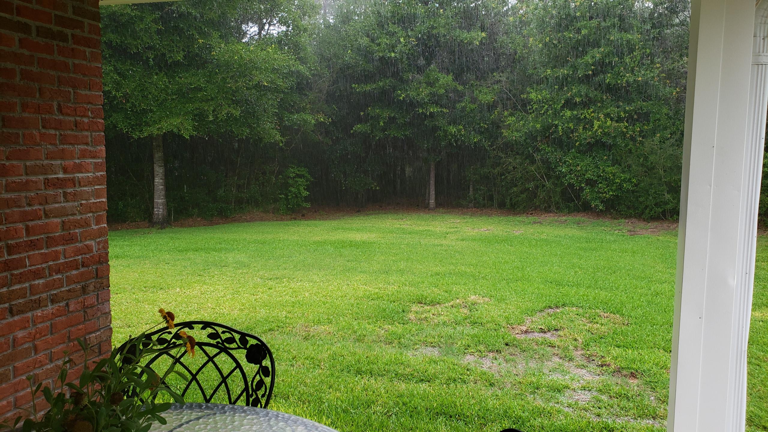 591 Ridge Lake Road Crestview, FL 32536 - Photo 3 of 31 a view of a yard