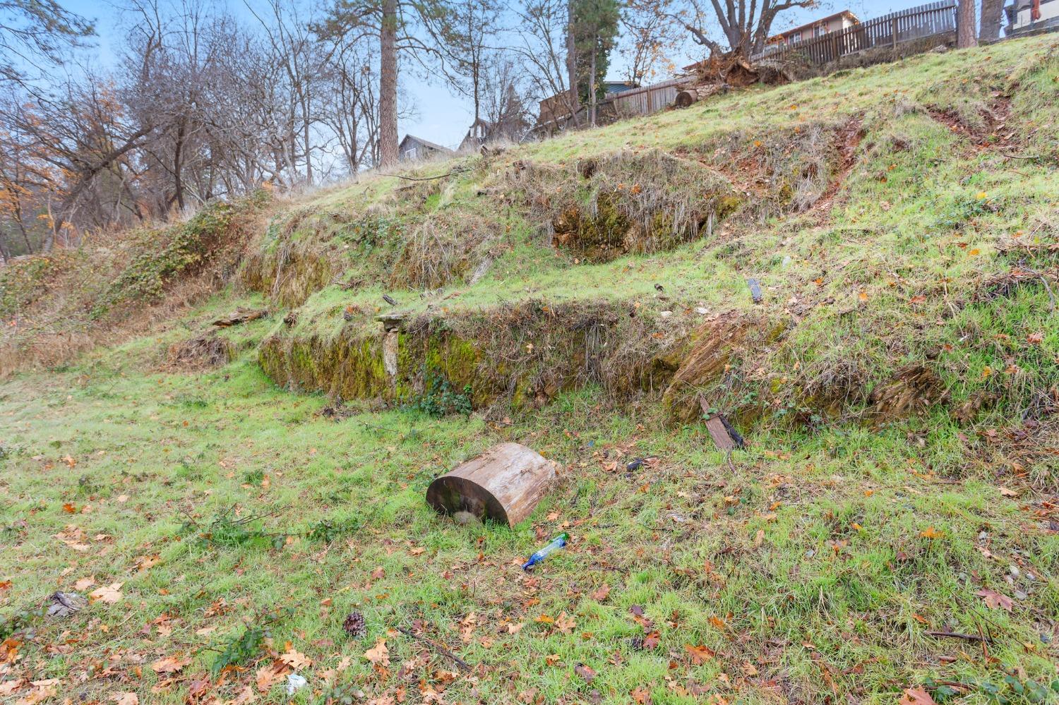 a backyard of a house with large trees