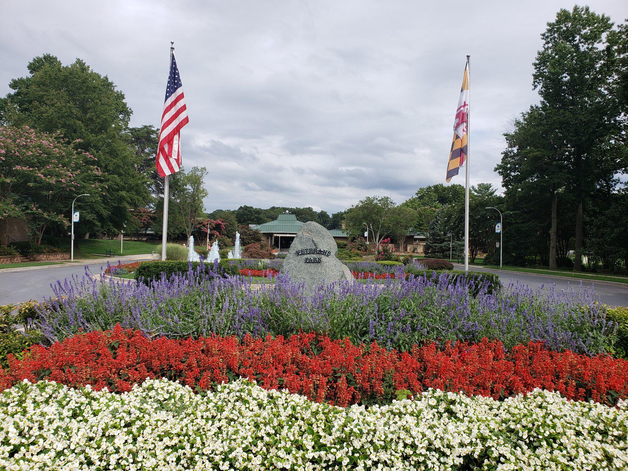 15100 Interlachen Drive, Unit 4520 Silver Spring, MD 20906 - Photo 29 of 39 Vibrant blooms greet visitors to the Community