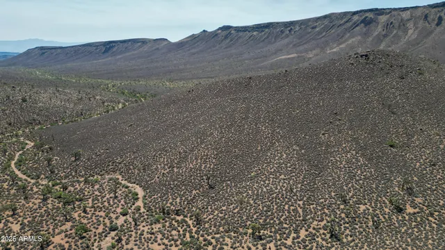 a view of a dry field with mountains in the background