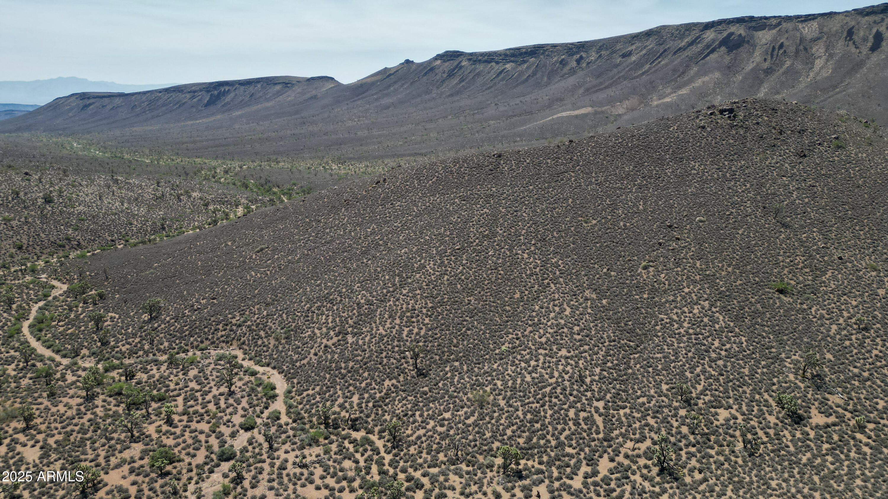0 West Butcher Camp Road Willow Beach, AZ 86445 - Photo 1 of 37 a view of a dry field with mountains in the background