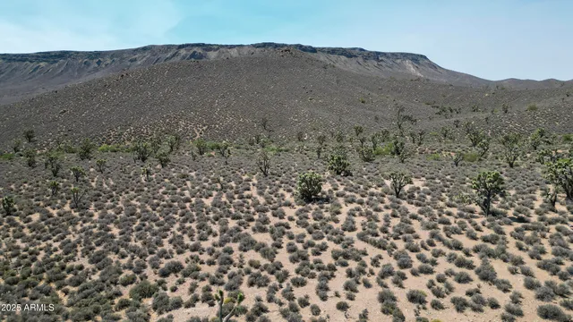 a view of a building