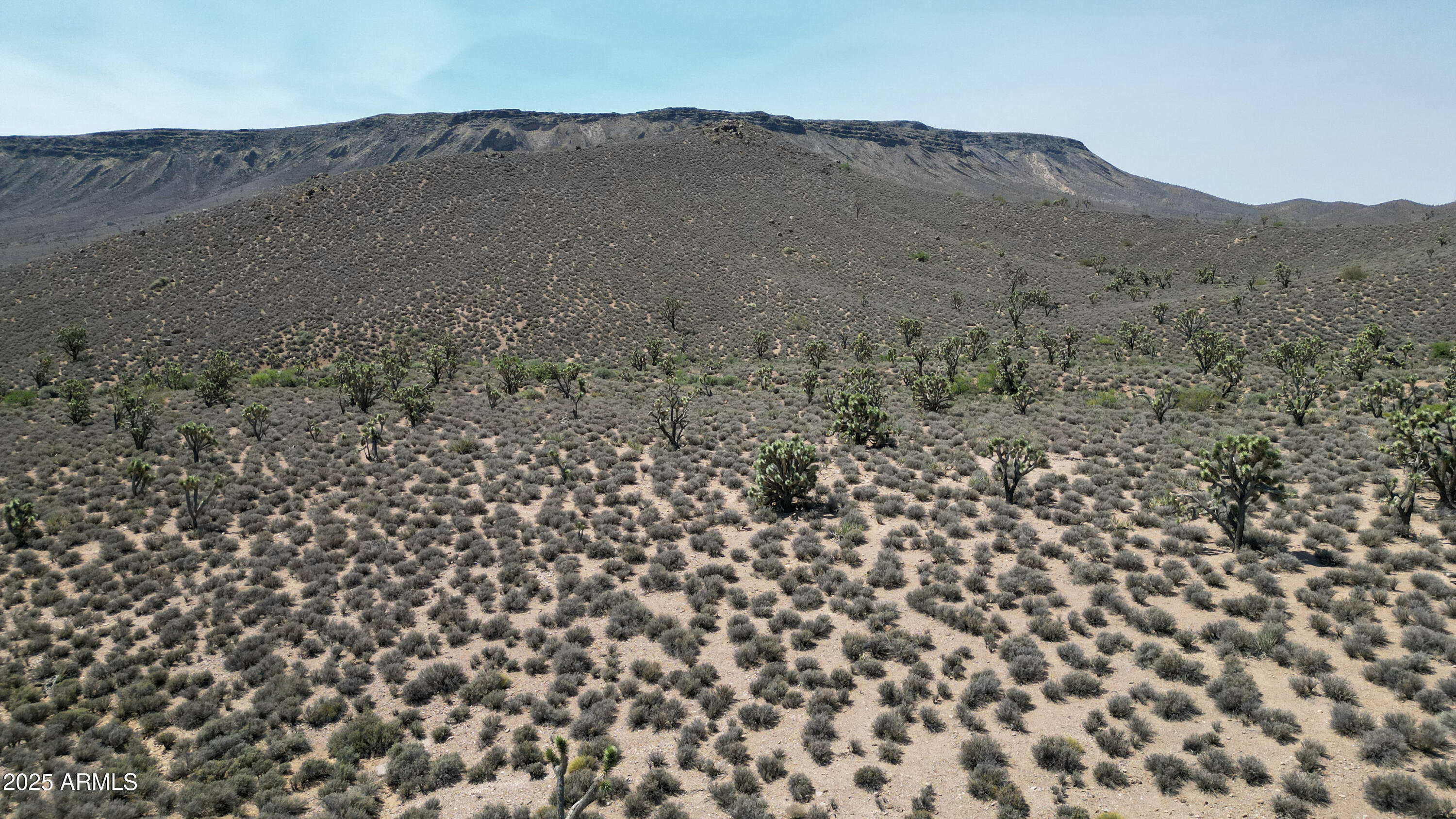 0 West Butcher Camp Road Willow Beach, AZ 86445 - Photo 12 of 37 a view of a dry field