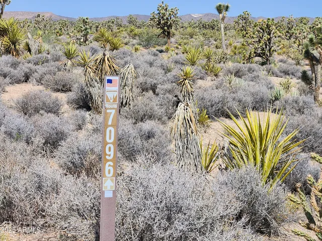a view of a large building
