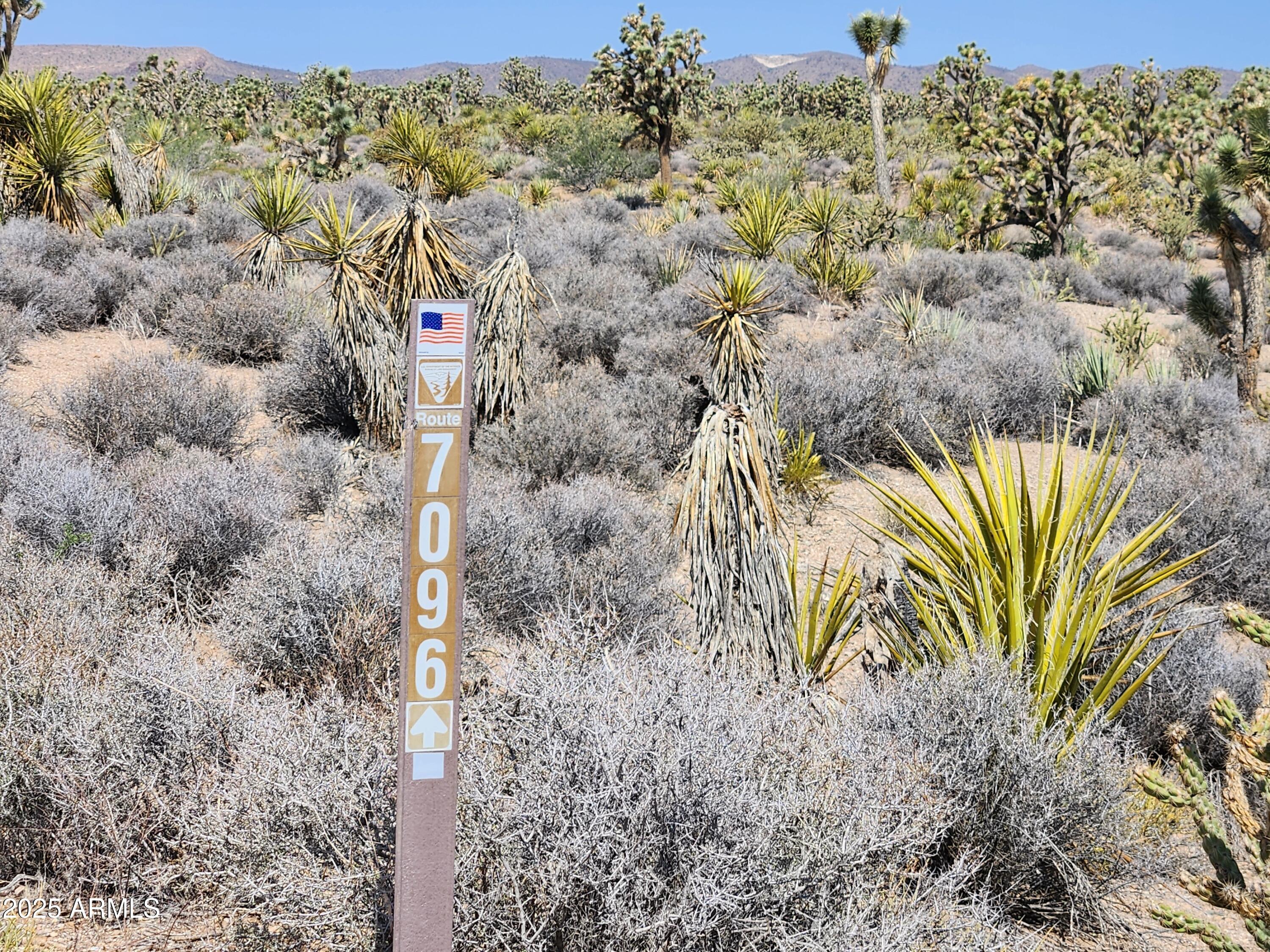 0 West Butcher Camp Road Willow Beach, AZ 86445 - Photo 17 of 37 a view of a road with a tree