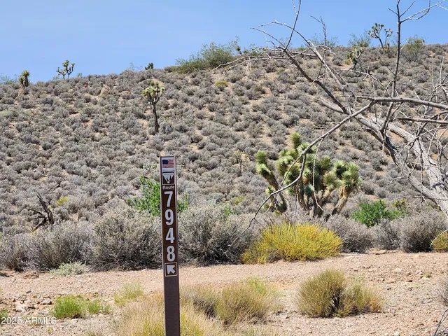 a view of a dry field