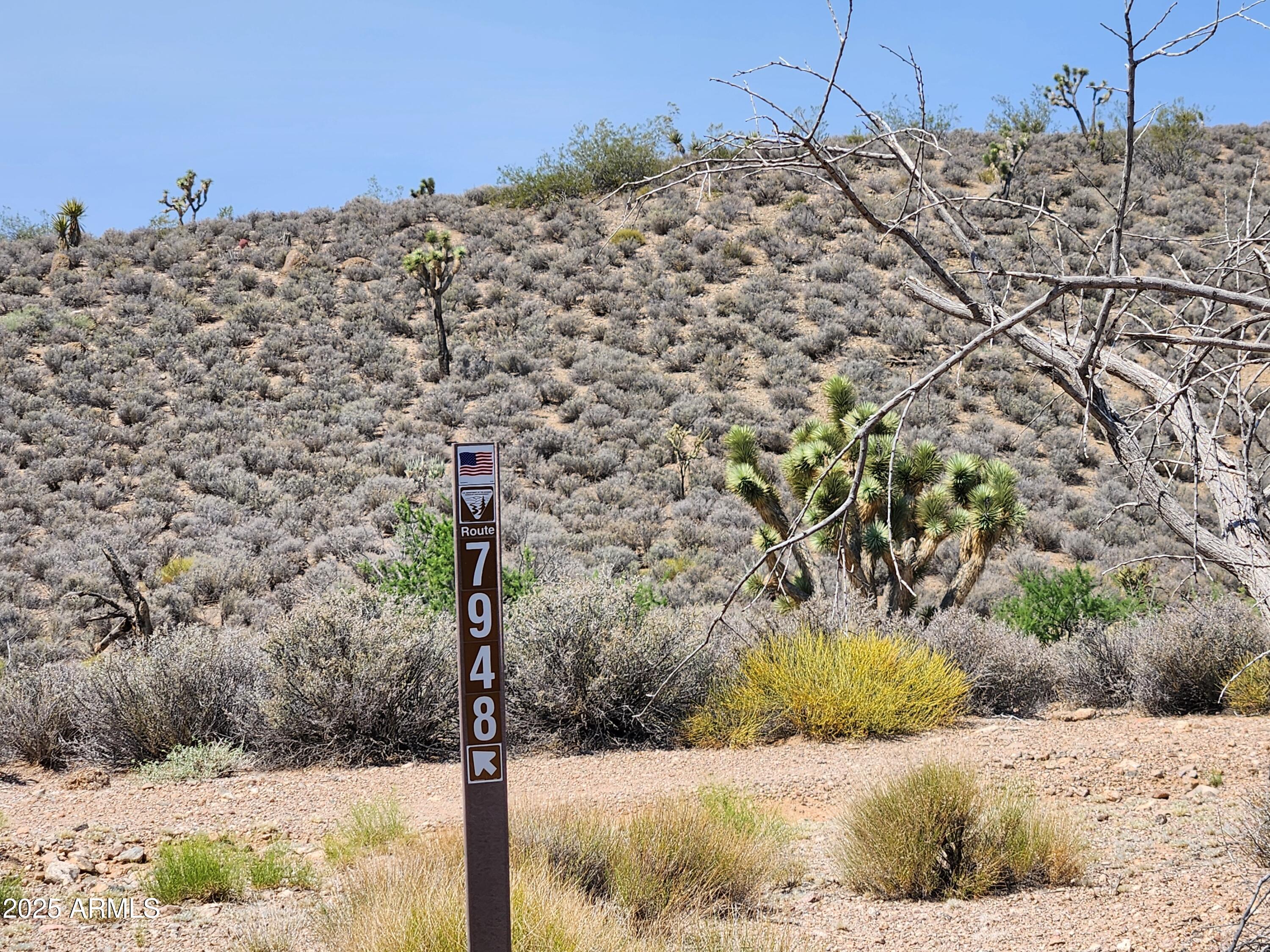 0 West Butcher Camp Road Willow Beach, AZ 86445 - Photo 18 of 37 a view of a large building