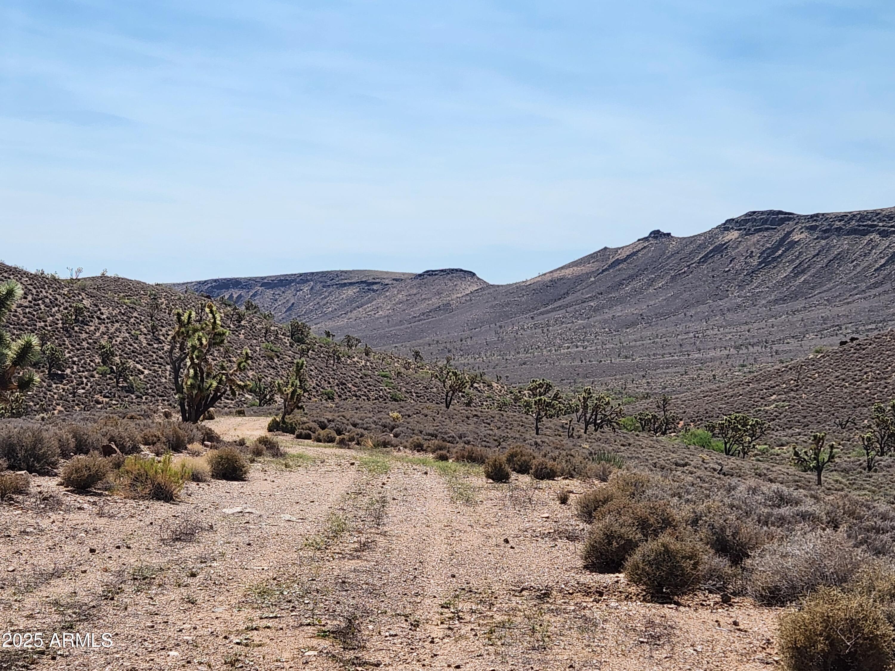 0 West Butcher Camp Road Willow Beach, AZ 86445 - Photo 19 of 37 a view of a dry field