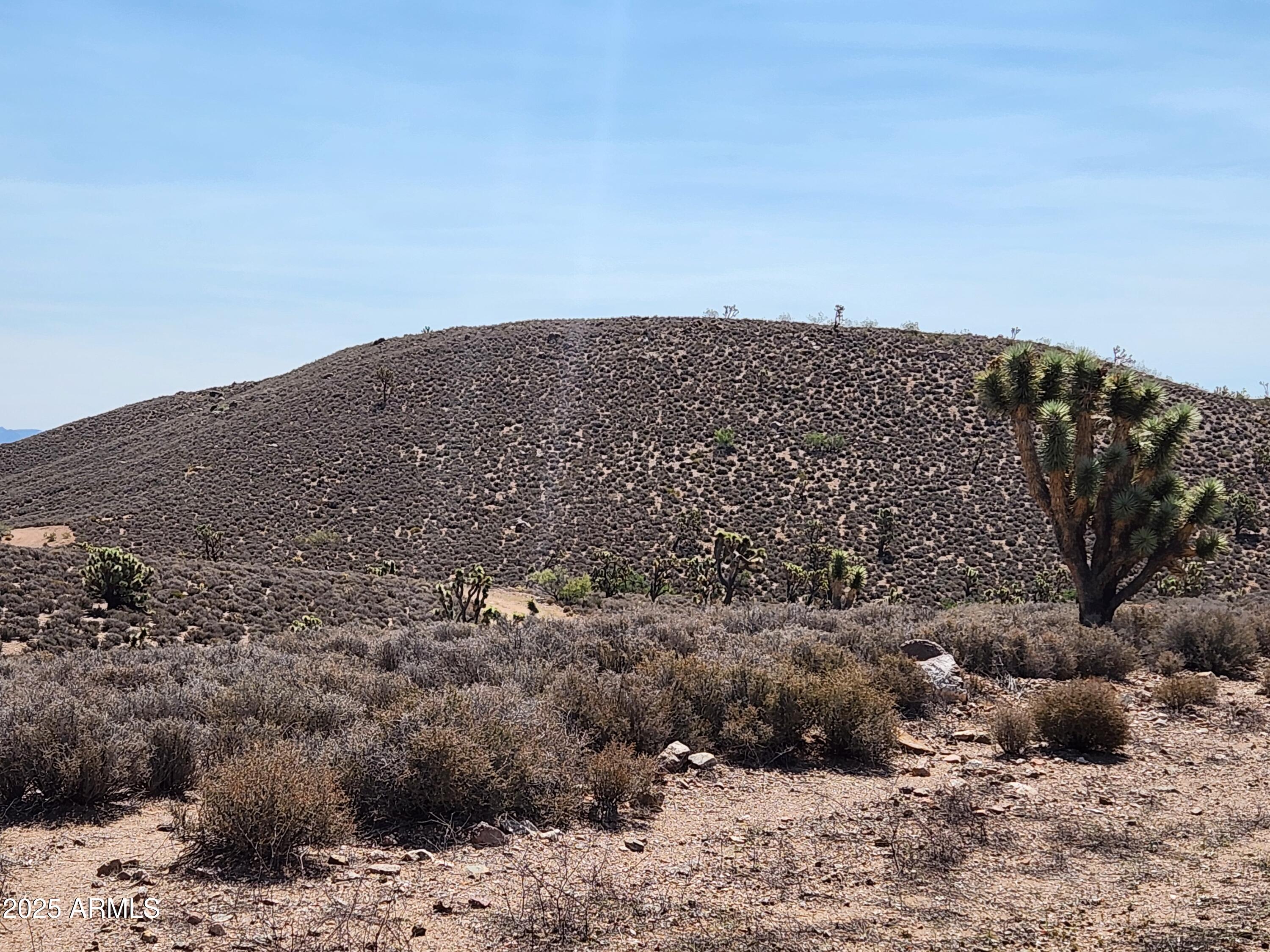 0 West Butcher Camp Road Willow Beach, AZ 86445 - Photo 20 of 37 a view of a dry yard