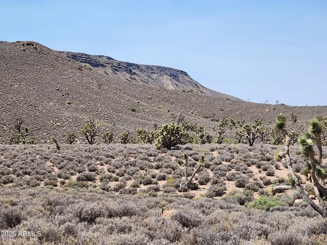 a view of a dry yard with mountains in the background