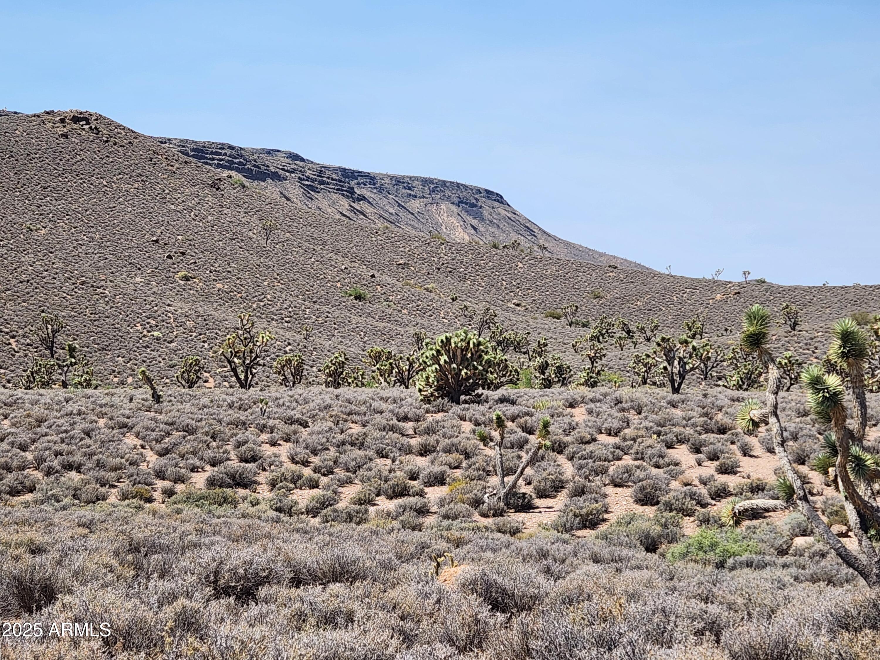 0 West Butcher Camp Road Willow Beach, AZ 86445 - Photo 21 of 37 view of a mountain range with trees in the background
