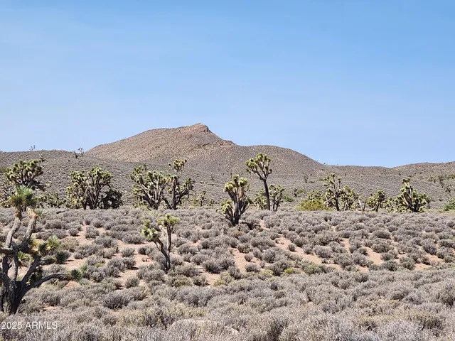 a view of a large mountain with trees in the background