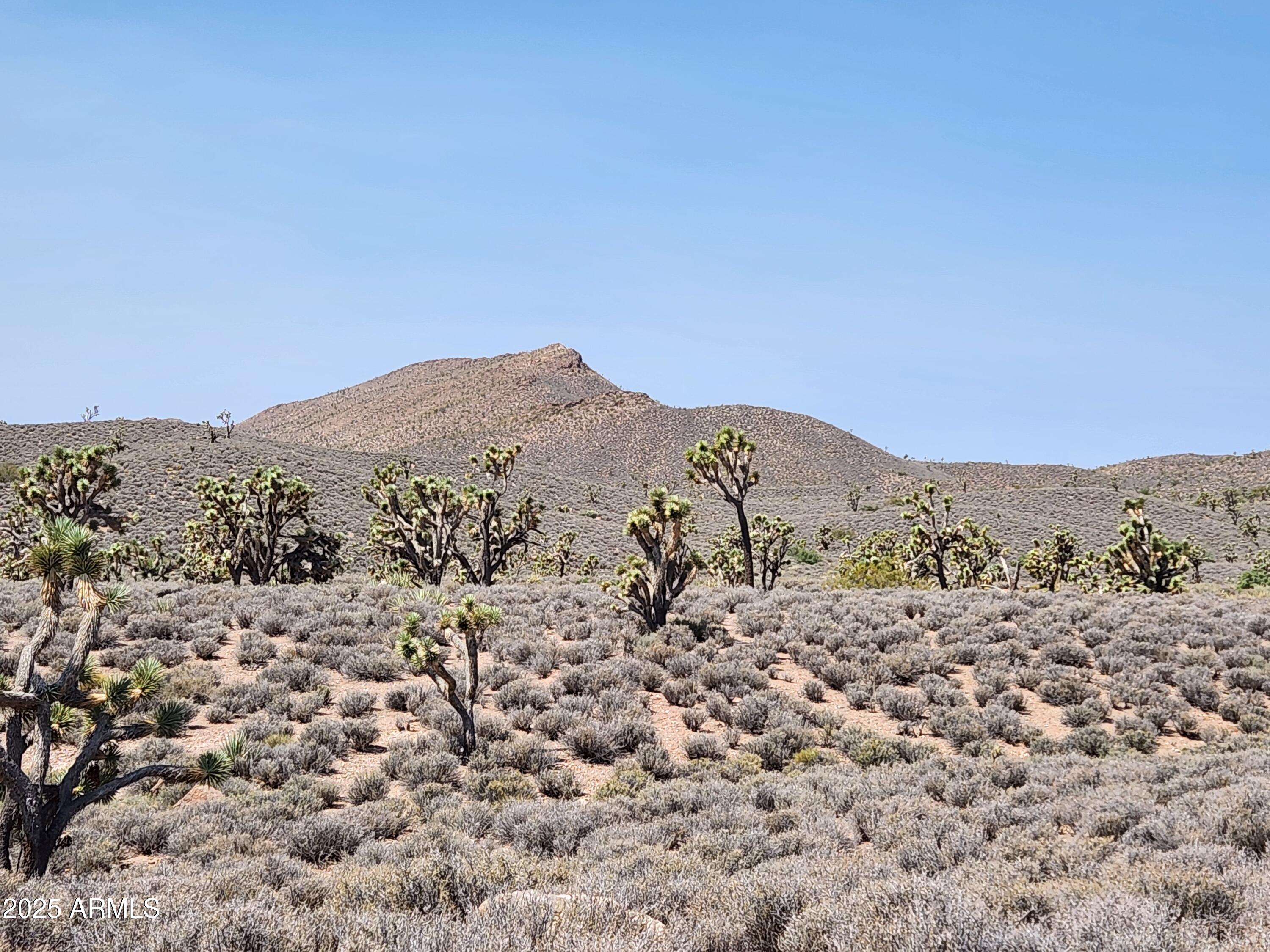 0 West Butcher Camp Road Willow Beach, AZ 86445 - Photo 22 of 37 a view of a dry yard with mountains in the background
