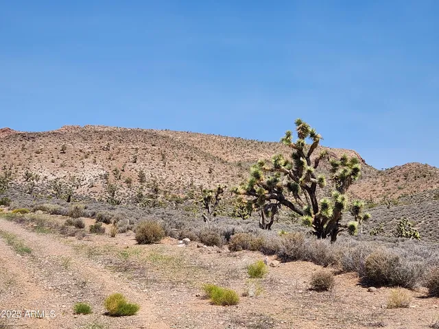 a view of a dry field