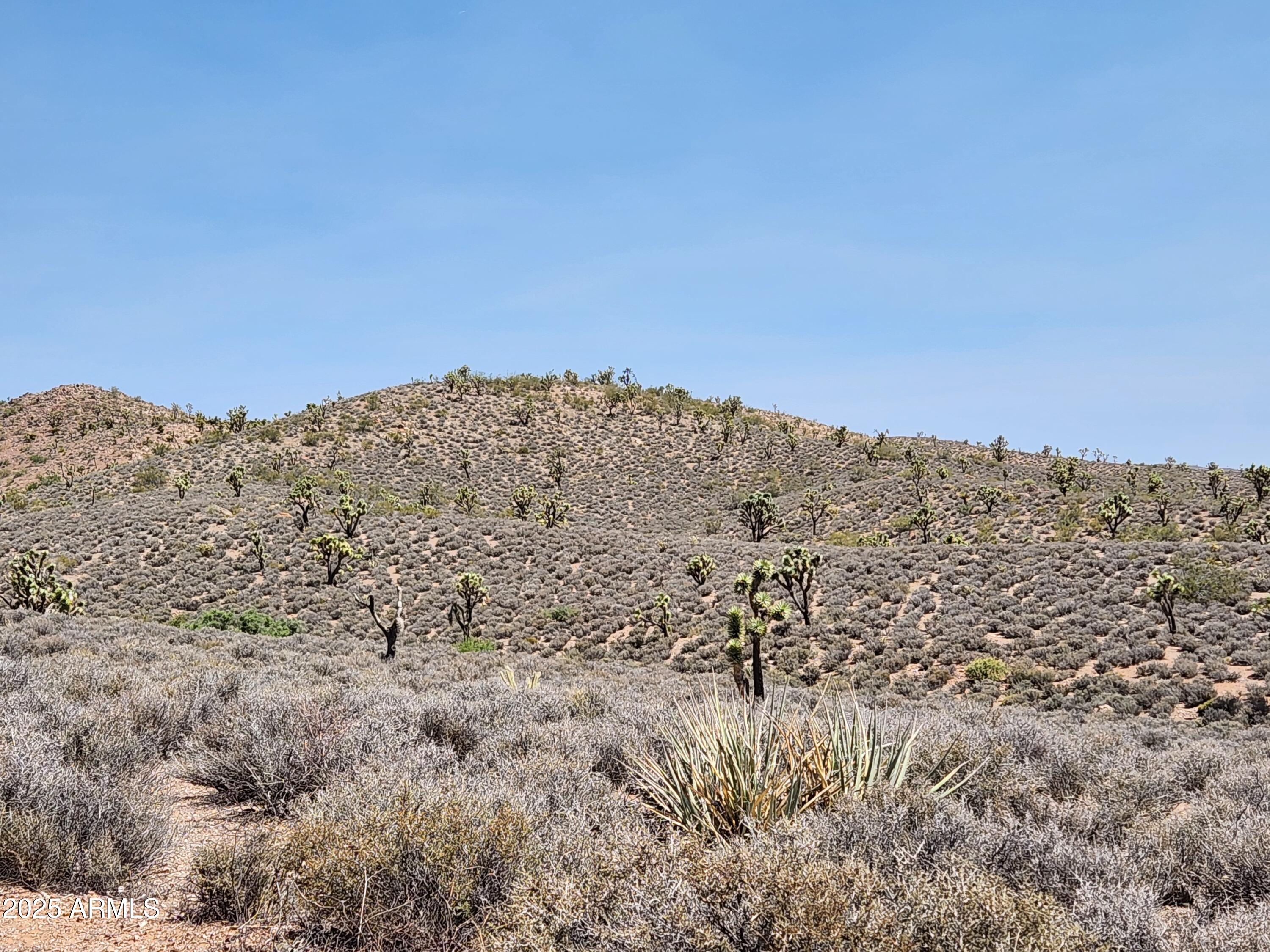 0 West Butcher Camp Road Willow Beach, AZ 86445 - Photo 25 of 37