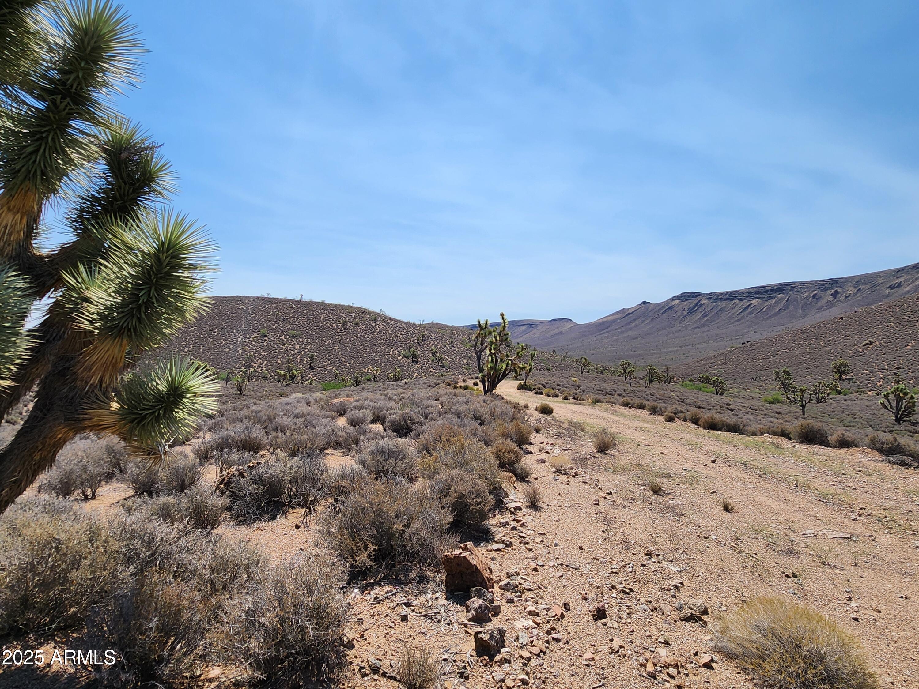 0 West Butcher Camp Road Willow Beach, AZ 86445 - Photo 28 of 37 a view of mountains and valleys