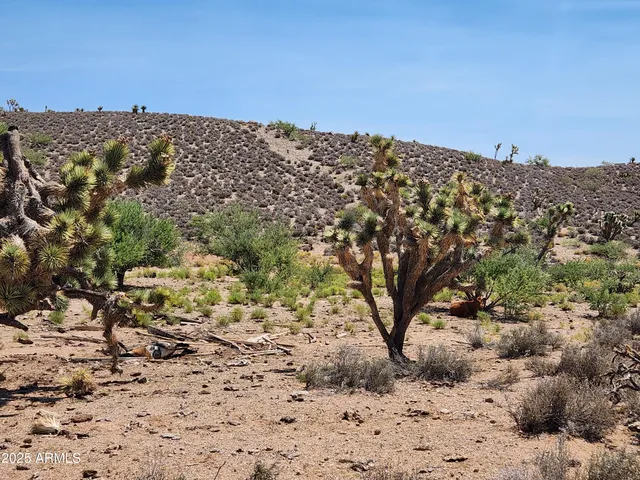 a street sign on a street
